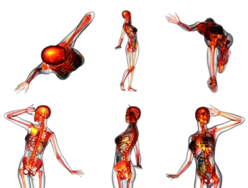 an image of a woman's body in different positions
