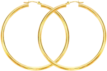 a pair of gold hoop earrings