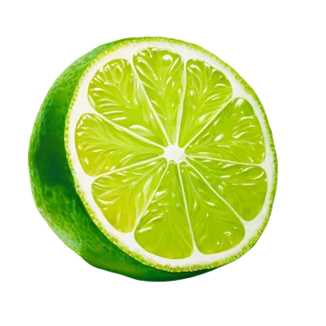 a slice of lime on a white background