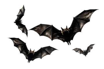 three bats flying in the air