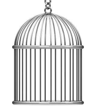 a bird in a cage on a white background
