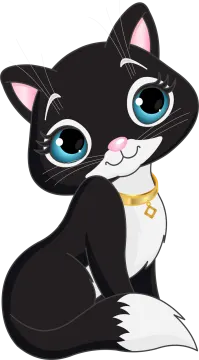 a black and white cat with blue eyes