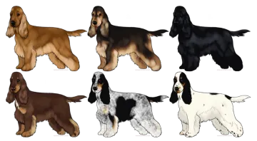 a set of four dogs in different colors