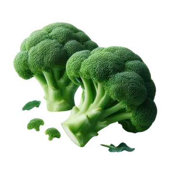 two pieces of broccole on a white background