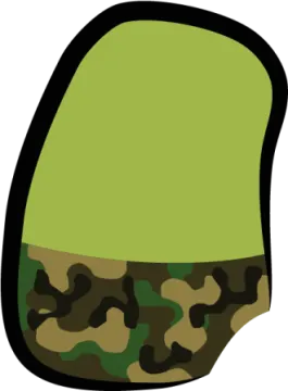 a green and brown camouflage hat