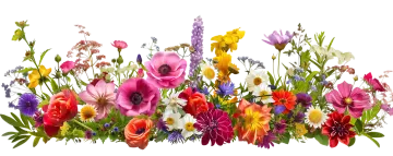 a bunch of flowers on a white background