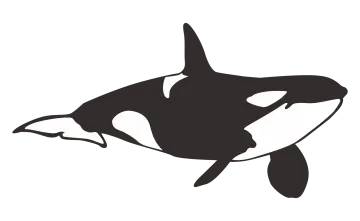 a black and white silhouette of an orca