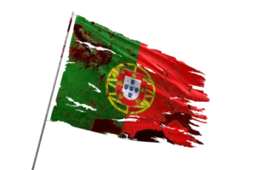 the flag of portugal is painted on a white background