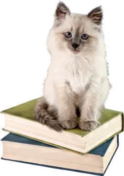 a cat sitting on top of a pile of books