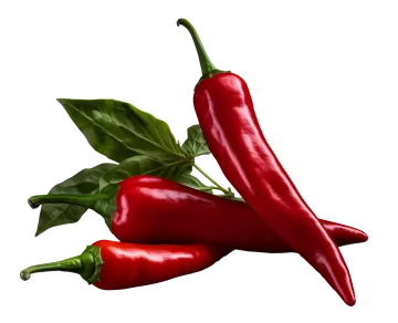 a couple of red peppers on a white background