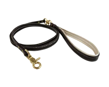 a black leather dog leash with brass hardware