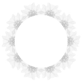an image of a bicycle chainring