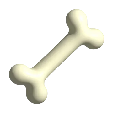 an image of a bone bone