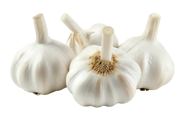 three garlics on a white background
