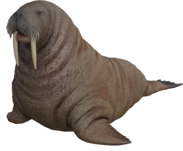 a seal sitting on the ground with its mouth open