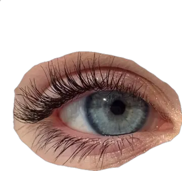 a close up of an eye with long eyelashes