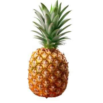 a pineapple on a white background