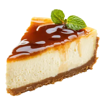 a piece of cheesecake with chocolate sauce on top