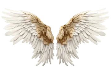 a pair of white wings on a white background