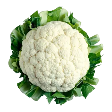 a head of caulia on a white background