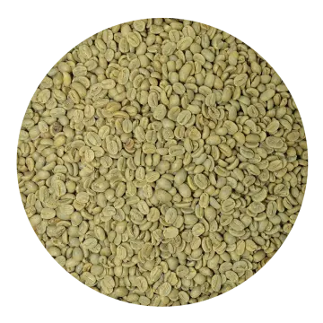 a pile of green coffee beans