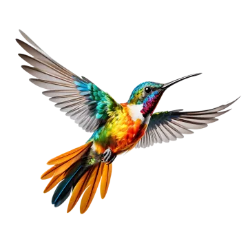 a colorful bird flying in the air