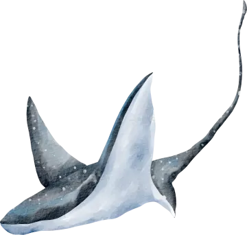 an illustration of a whale swimming in the ocean