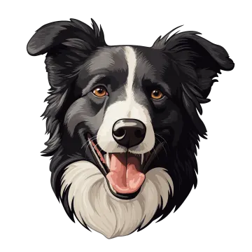 a black and white dog face on a white background