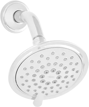 therme shower head with hand shower spray