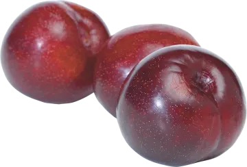 two plums on a white background