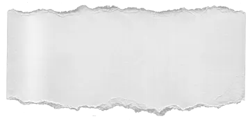 a piece of torn paper on a white background