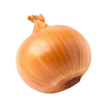 a close up of an onion on a white background