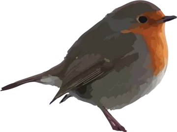 a bird sitting on top of a white surface