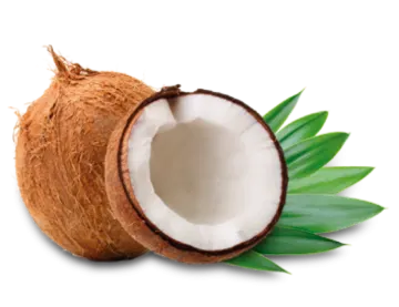 a coconut with a green leaf on it