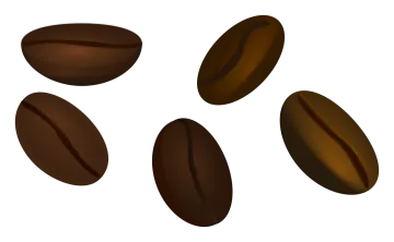 three coffee beans on a white background