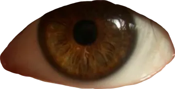 a close up view of an eye