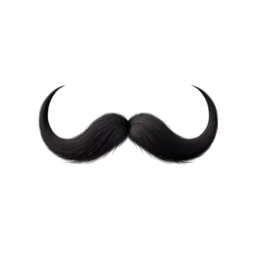 a black mustache on a white background