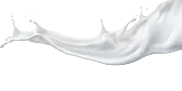 a splash of milk on a white background