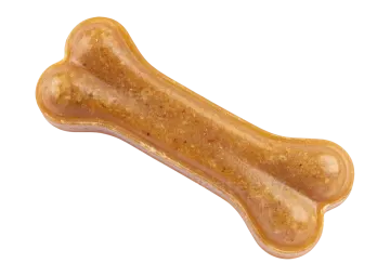 a dog bone on a white background