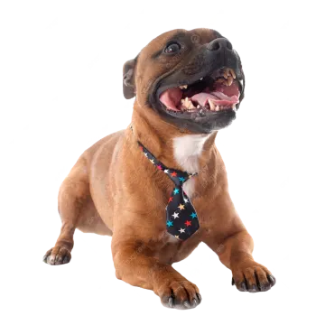 a dog with its mouth open and tongue out