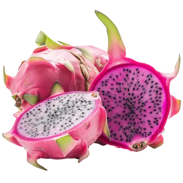 dragon fruit on a white background