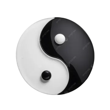 the yin symbol on a white background