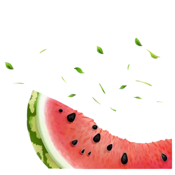 a slice of watermelon
