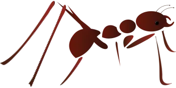 an ant ant is standing on its hind