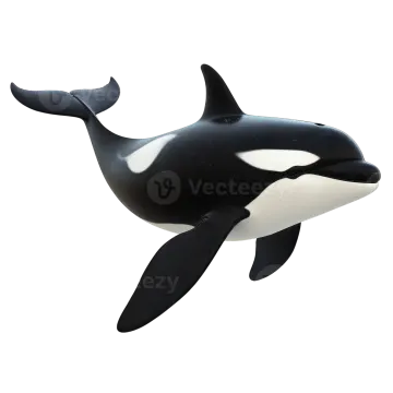 a black and white orca whale on a white background