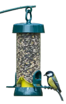 a bird feeder with two birds on it
