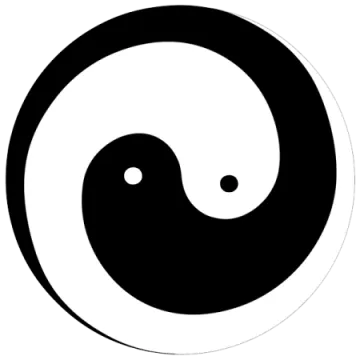 a black and white yin symbol