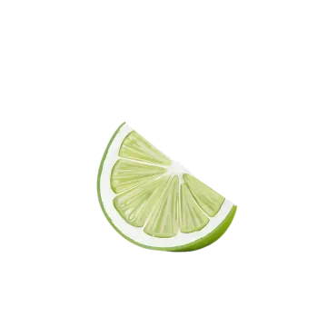 a slice of lime on a white background