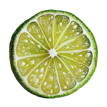 a slice of lime on a white background