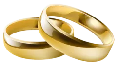 two gold wedding rings